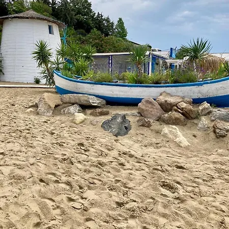 Sun Wave Near The Sea *